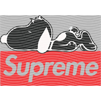 Brand Catalog-ZX 1024